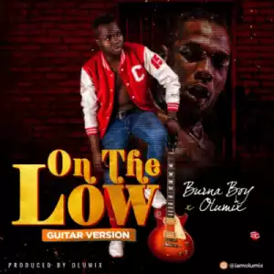 Burna Boy - On The Low (Guitar Cover) ft. Olumix